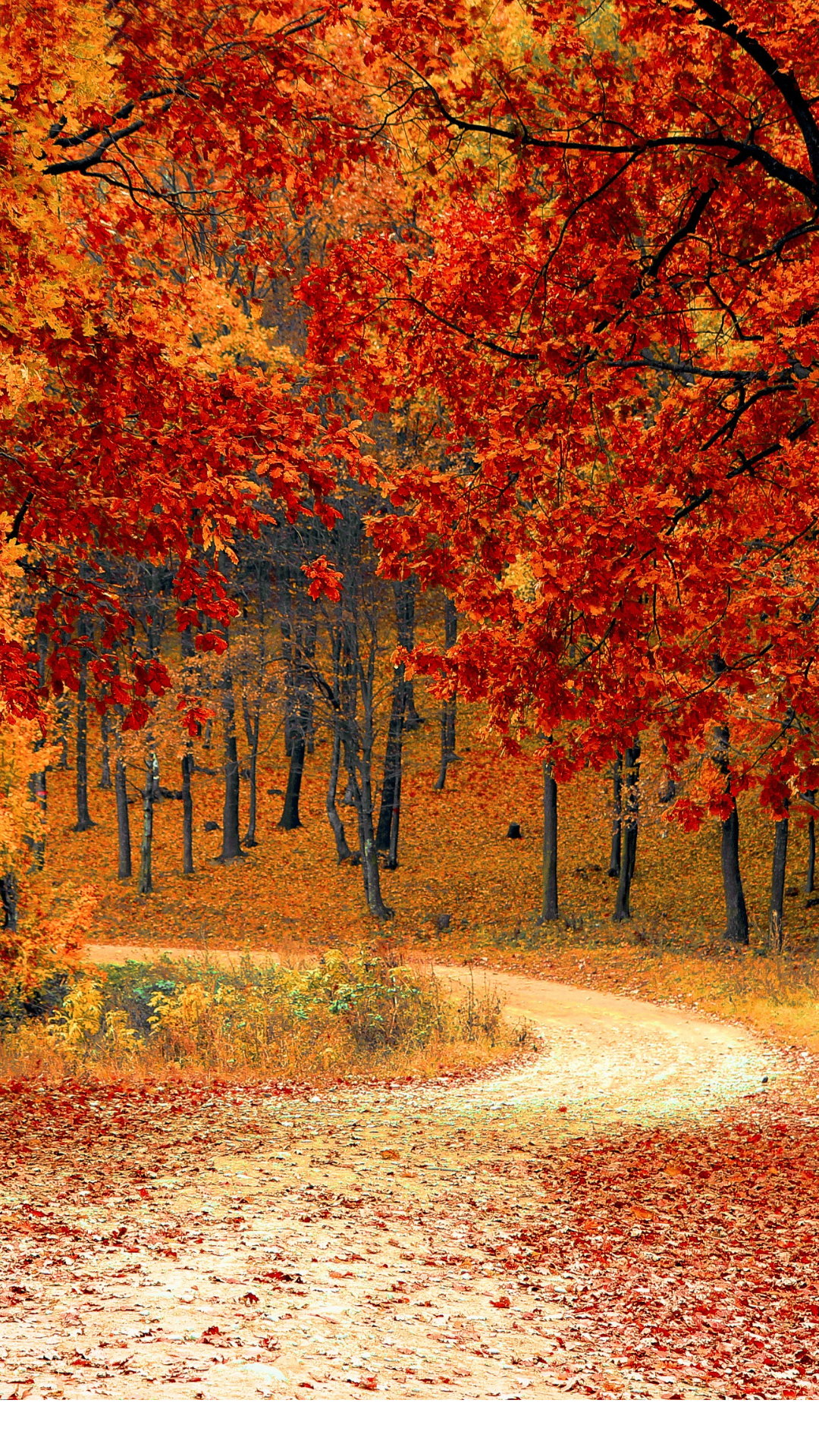 Seasonal Chat