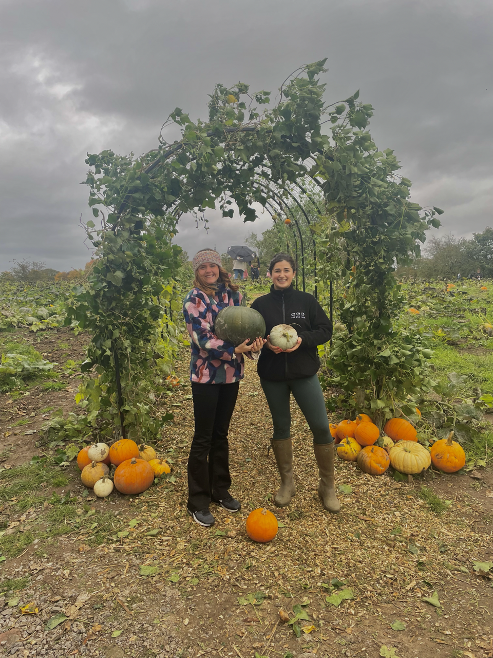 Halloween at Pye Ash Farm