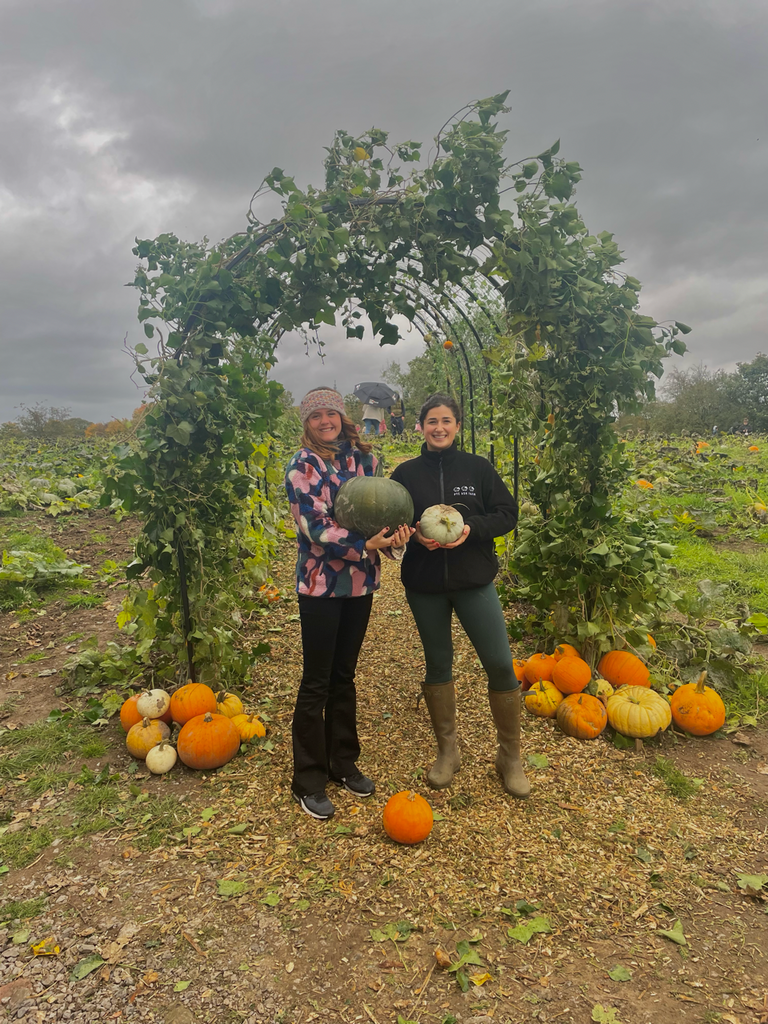 Halloween at Pye Ash Farm