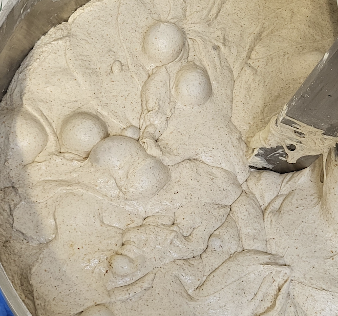 How to make a Sourdough Starter